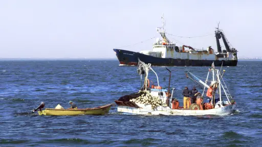 Presentan protocolos para mitigar los efectos de malos olores durante la temporada de extracción de sardina y anchoveta  