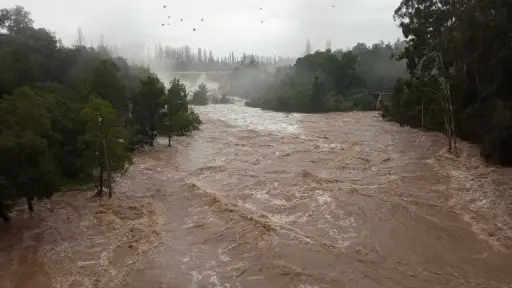 Devastación en Saltos del Laja: Desborde del río arrasa con locales y deja a familias damnificadas