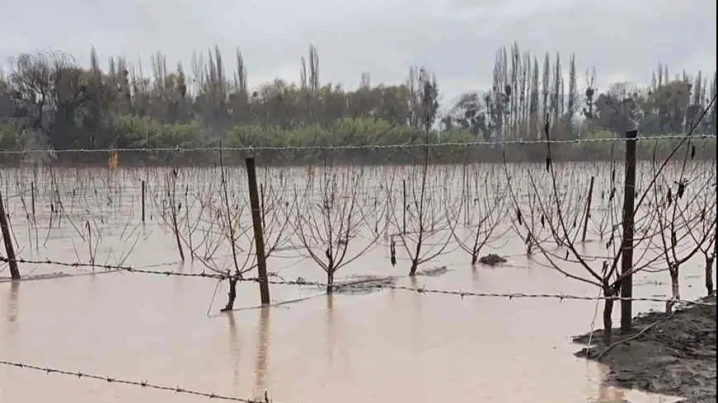 emergencia agrícola, cedida