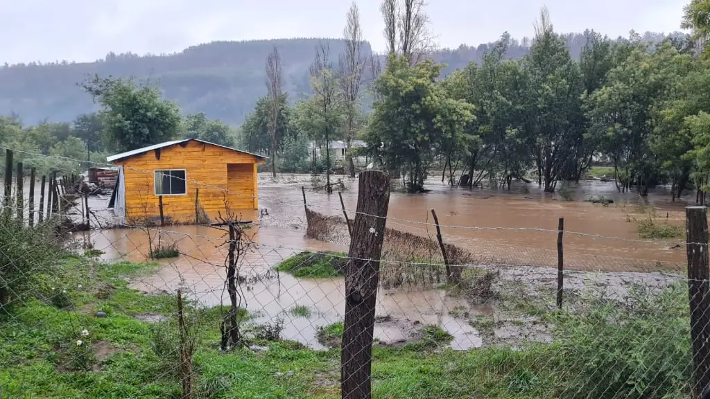 Sector La Isla, Quilaco, Cedida
