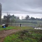 Inundación de viviendas y anegamientos deja sistema frontal en Mulchén , Municipalidad de Mulchén