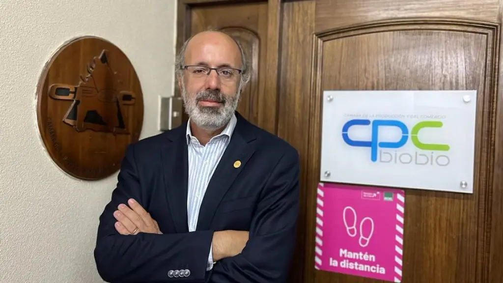 Álvaro Ananías, CPC Biobío, cedida