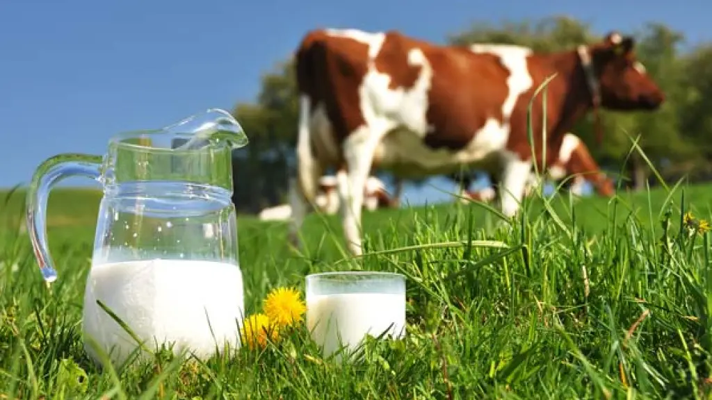 El gremio de productores de leche animal destacó el crecimiento y desarrollo local que impulsan las lecherías en las economías de la zona sur del país.