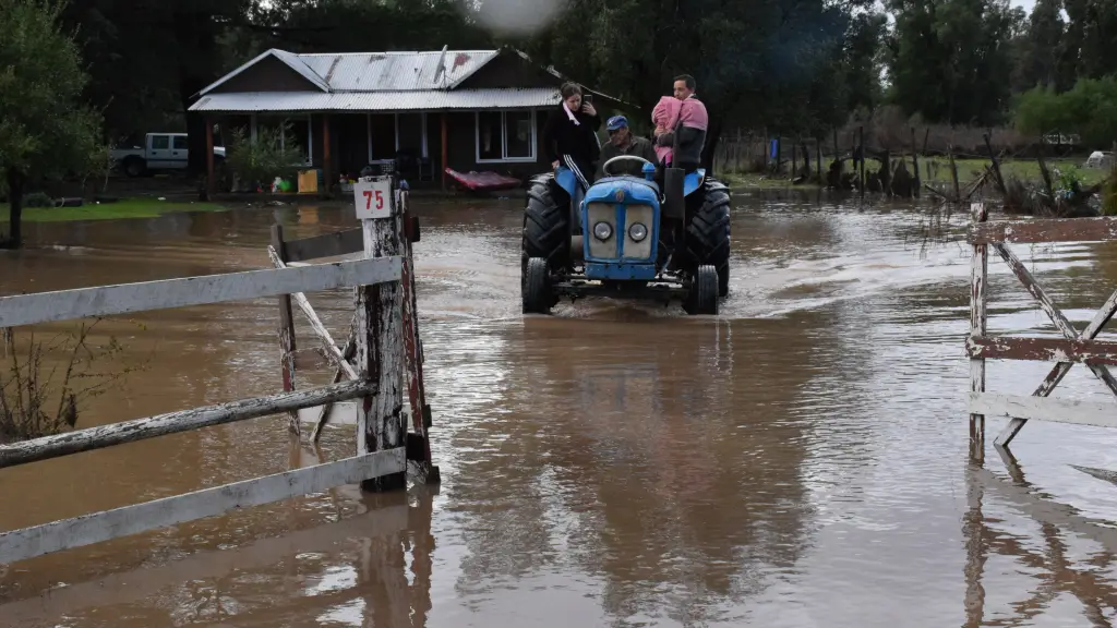 La Sociedad Nacional de Agricultura entregará al Gobierno propuestas de corto, mediano y largo plazo para resarcir las necesidades de la agricultura afectadas por las lluvias e inundaciones.