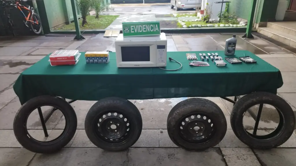 Especies recuperadas, Carabineros