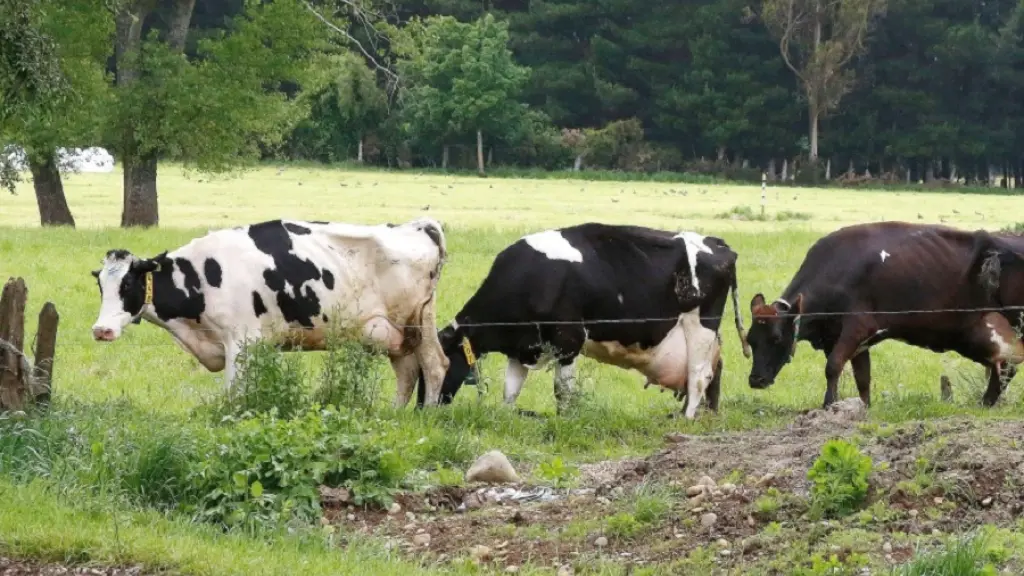 Campo Seguro buscará posicionar las herramientas legales, las políticas de Estado y las iniciativas de inversión necesarias para prevenir la violencia rural y defender a las víctimas de ésta.