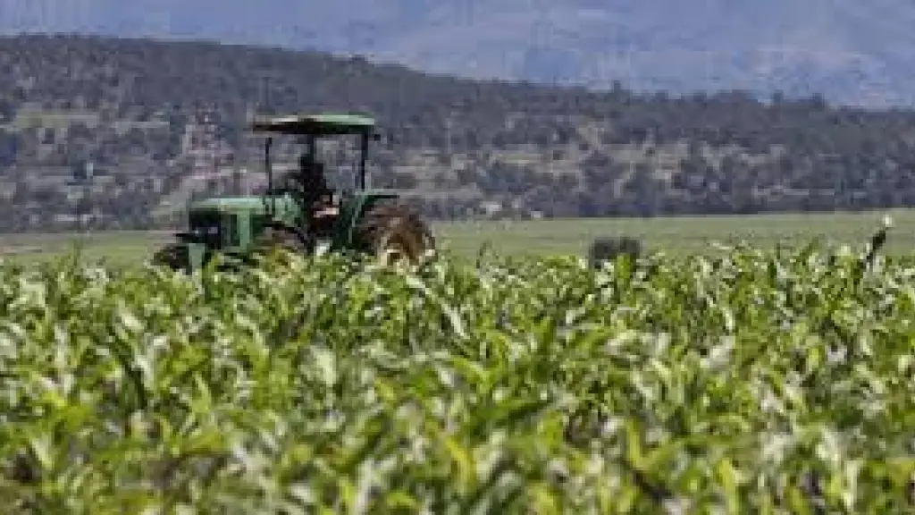 Proyecciones agrícolas Chile 2023-2024