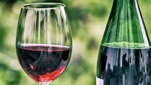 Impulsan modelo productivo para dar valor a la uva país y diversificar la vitivinicultura local