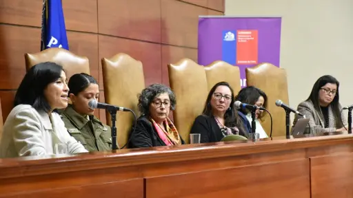 Corte de Apelaciones de Concepción y SernamEG Biobío realizaron conversatorio en materia de violencia de Género