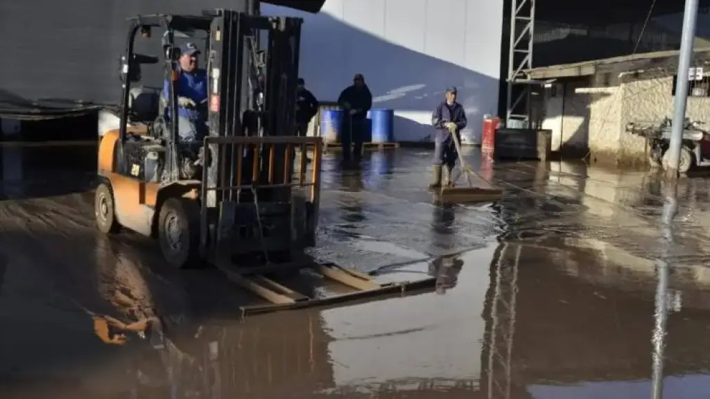 Entrega de Kits, G5 Noticias