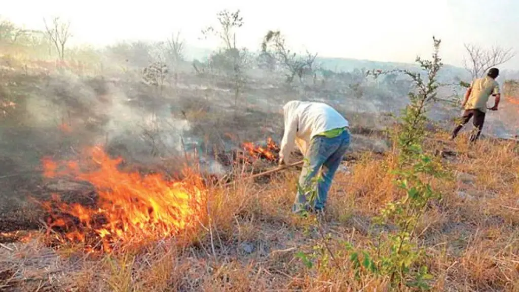 Quemas agrícolas Chile