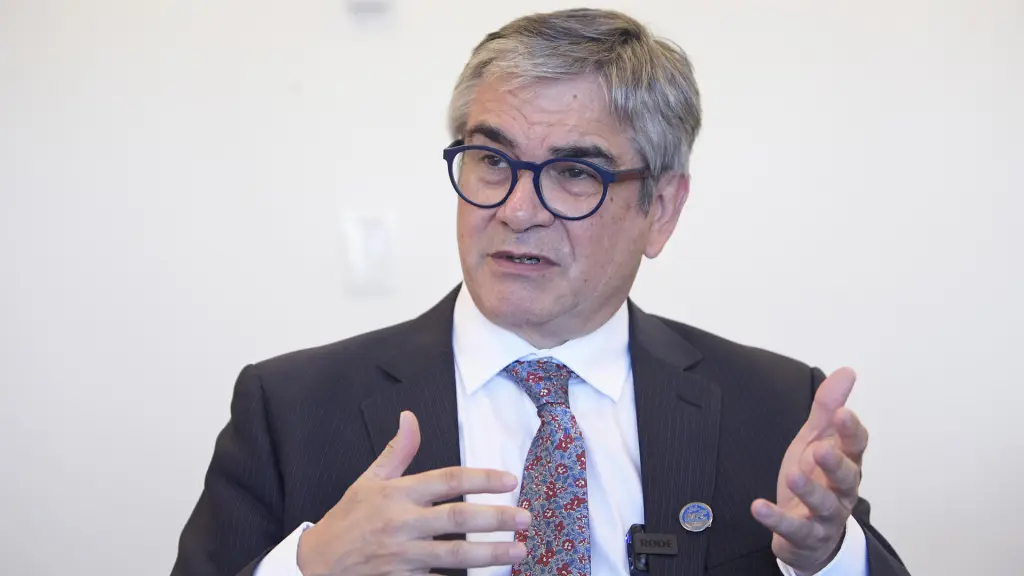 Mario Marcel, Agencia EFE