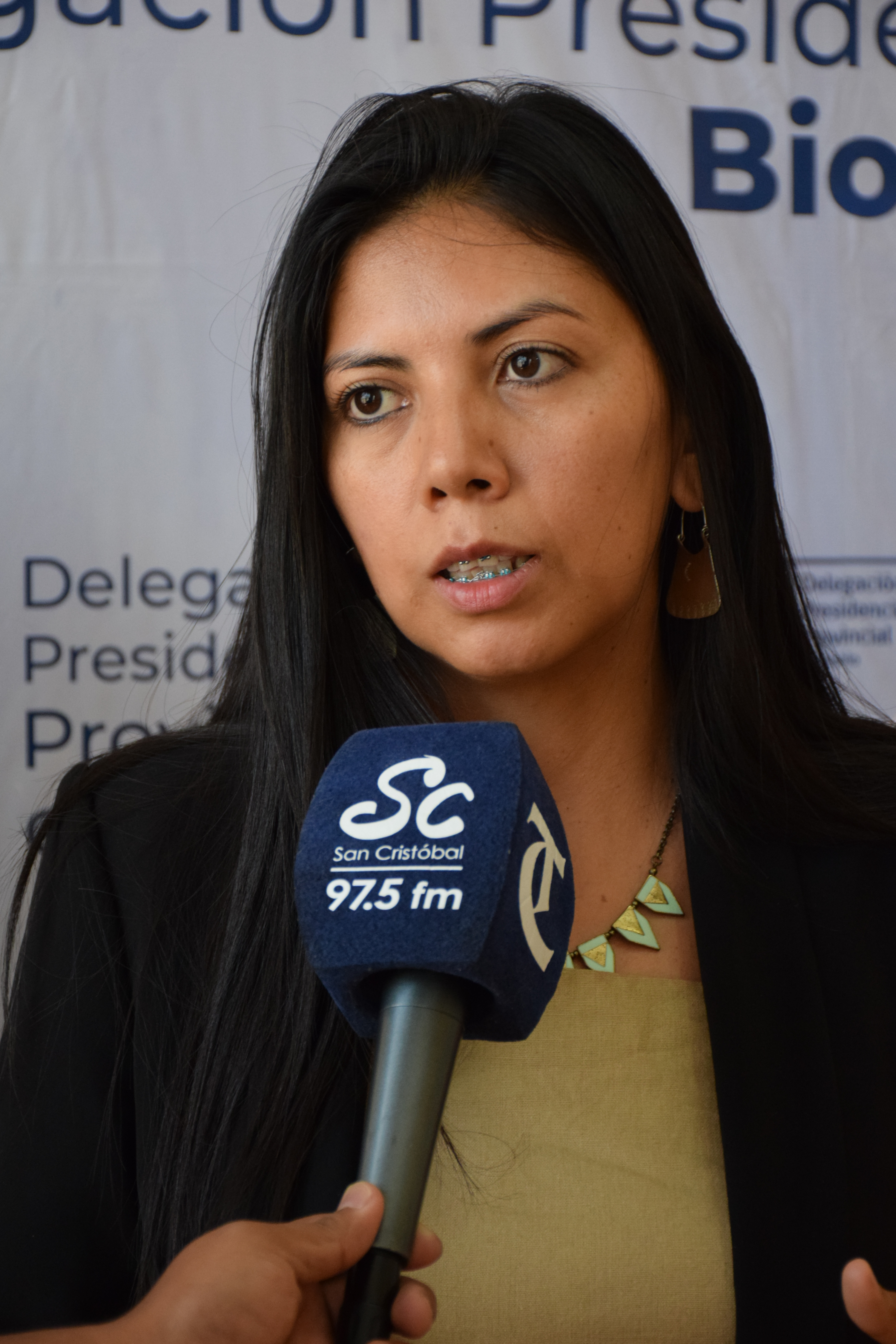 Delegada Presidencial Provincial Paulina Purrán / La Tribuna