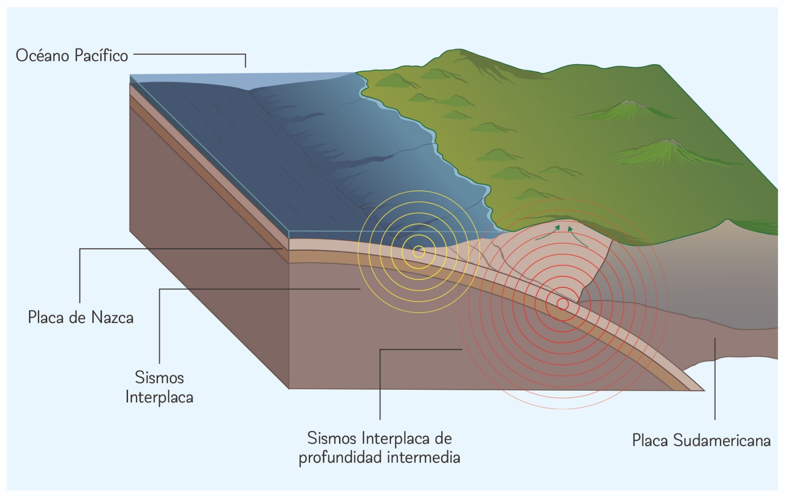 Esquema del margen de subducción Sudamericano / cedida