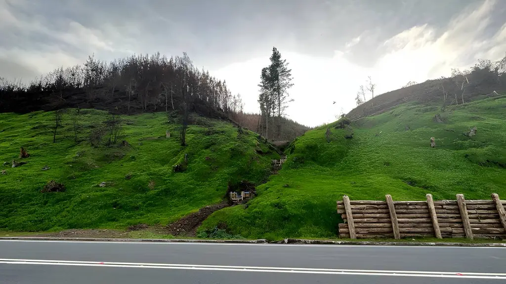  Hidrosiembra forestal