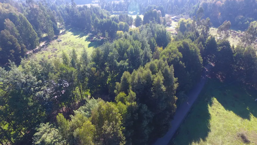 El enfoque apunta a resolver problemáticas a las que se ha visto enfrentado el sector a nivel medioambiental, a través de plantaciones de bosque nativo para las nuevas generaciones.