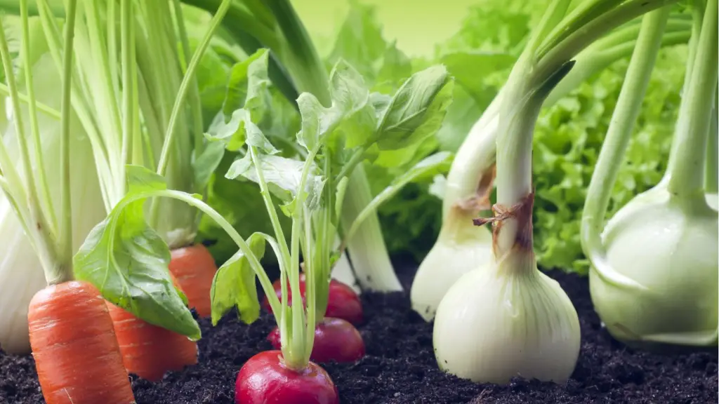 Desde Hortach A.G. dijeron que la producción hortícola no está en riesgo de momento, porque estos vienen de la zona de Arica principalmente, en el caso de tomate, pimentones, zapallos italianos y ajíes.