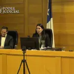 Juicio Martin Pradenas, Poder Judicial