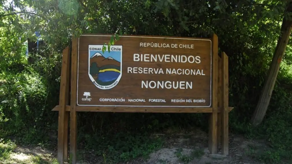 Parque Nacional Nonguén, Cedida