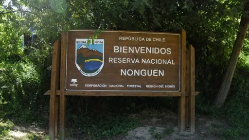 Reabren las puertas del Parque Nacional Nonguén para los visitantes