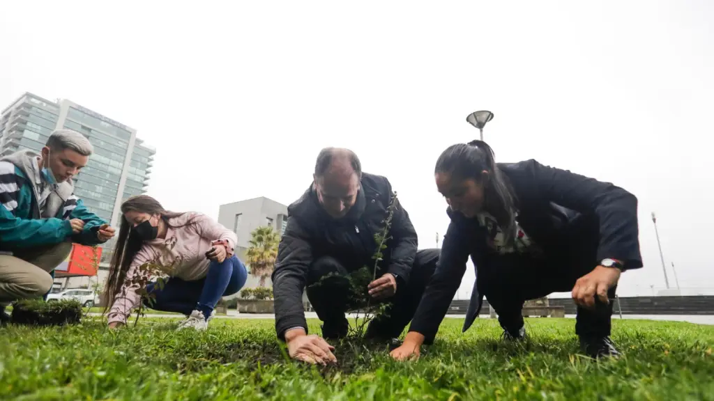 Carbono neutralidad, Redes sociales