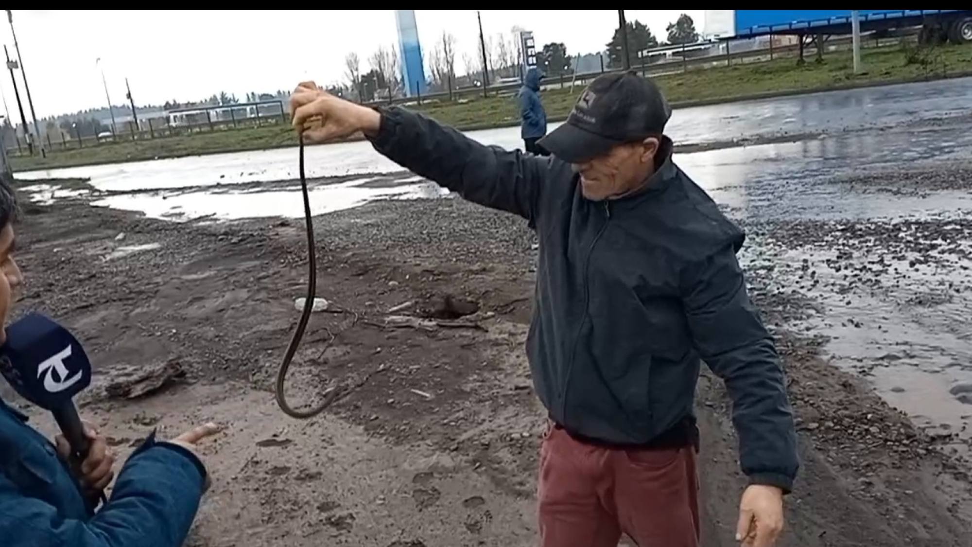 Crecidas de ríos provocan arrastre de culebras hacia Los Ángeles La