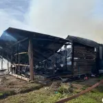 El incendio se produjo en un sector rural de Mulchén, Cuerpo de Bomberos de Mulchén.