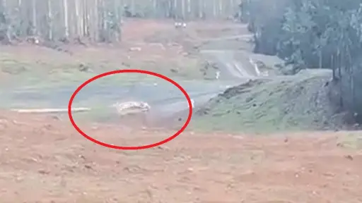 VIDEO: Registran impactante accidente de equipo Rosselot en Rally de Santa Juana