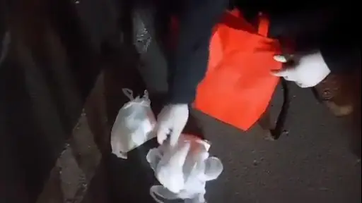 VIDEO: Dos mujeres son detenidas al transportar dos kilos de cocaína en la Ruta 5 Sur 