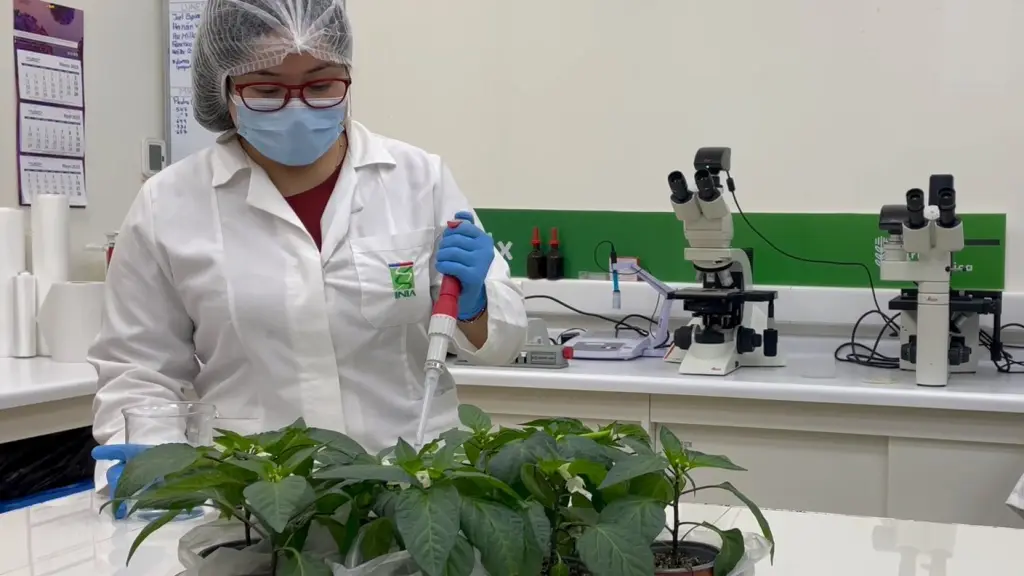 Startups en ciencias agrícolas