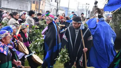 Tierras, conectividad de caminos y agua: Las prioridades de comunidades mapuches de la provincia de Biobío