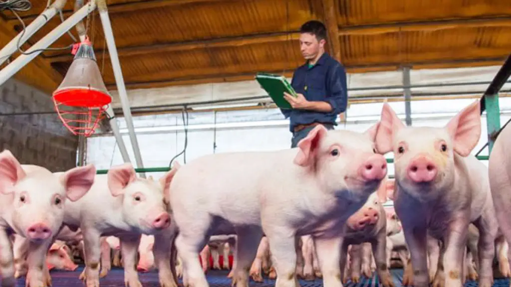 El desafío del futuro en la industria de la carne según un representante de esta será establecer una cultura de bioseguridad entre ellos así como a nivel país.