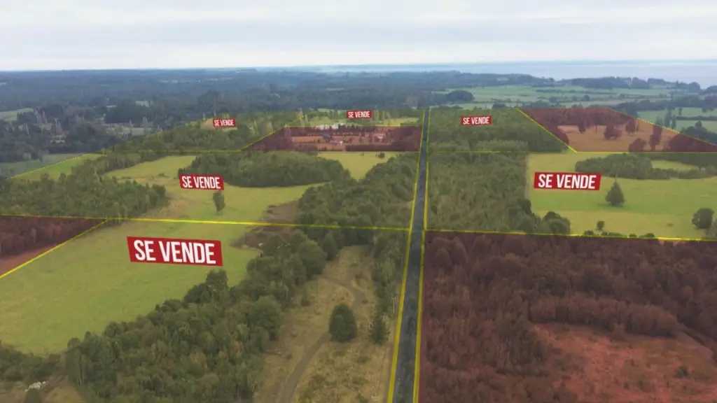 El normal funcionamiento de los sistemas productivos que operan en zonas rurales se ha visto afectado por los asentamientos habitacionales que se han establecido en sectores próximos.