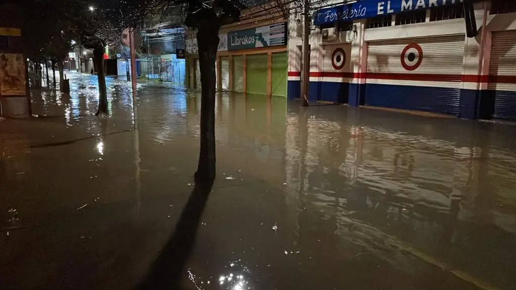 Diversos problemas en la provincia del Biobío por lluvias el 21 de julio