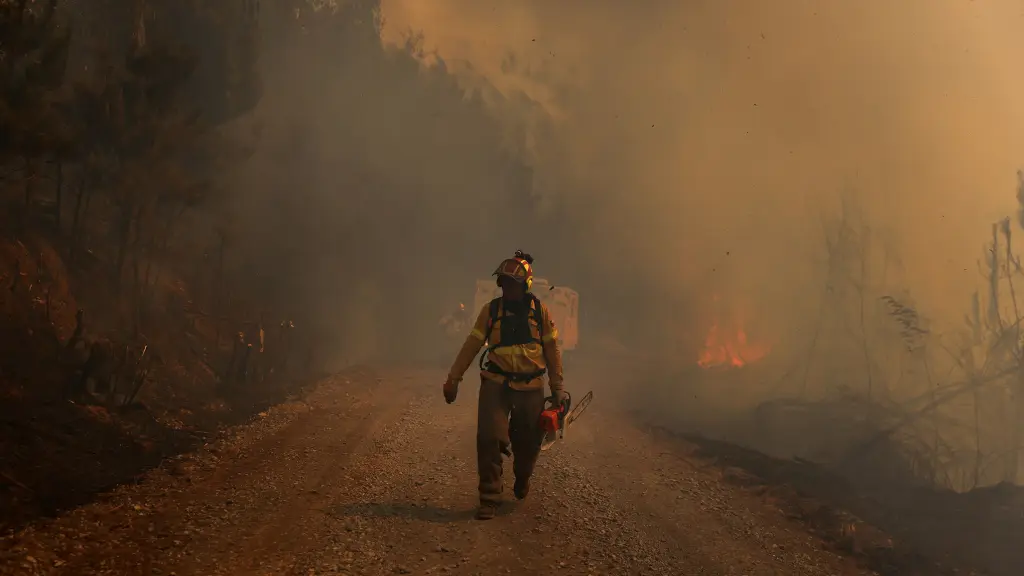 Desde ACOFORAG A.G. llamaron al Estado a dejar de ampararse en los privados a la hora de controlar los incendios. Estos entregan el 50% del control de incendios forestales en la actualidad.