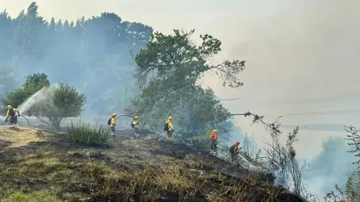 Advierten que millonaria deuda del Estado con proveedores amenazaría combate de futuros incendios forestales en el sur