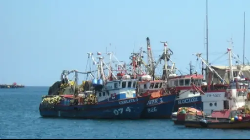  Subsecretario confirma operación normal en Ñuble para pescadores de Biobío