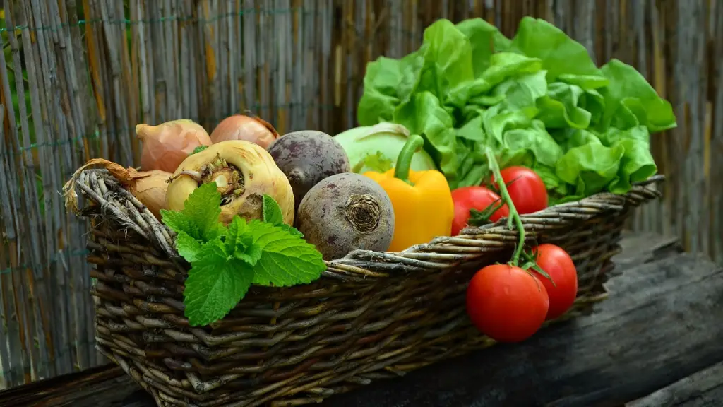 verduras, naturalieza, nnature, Pixabay