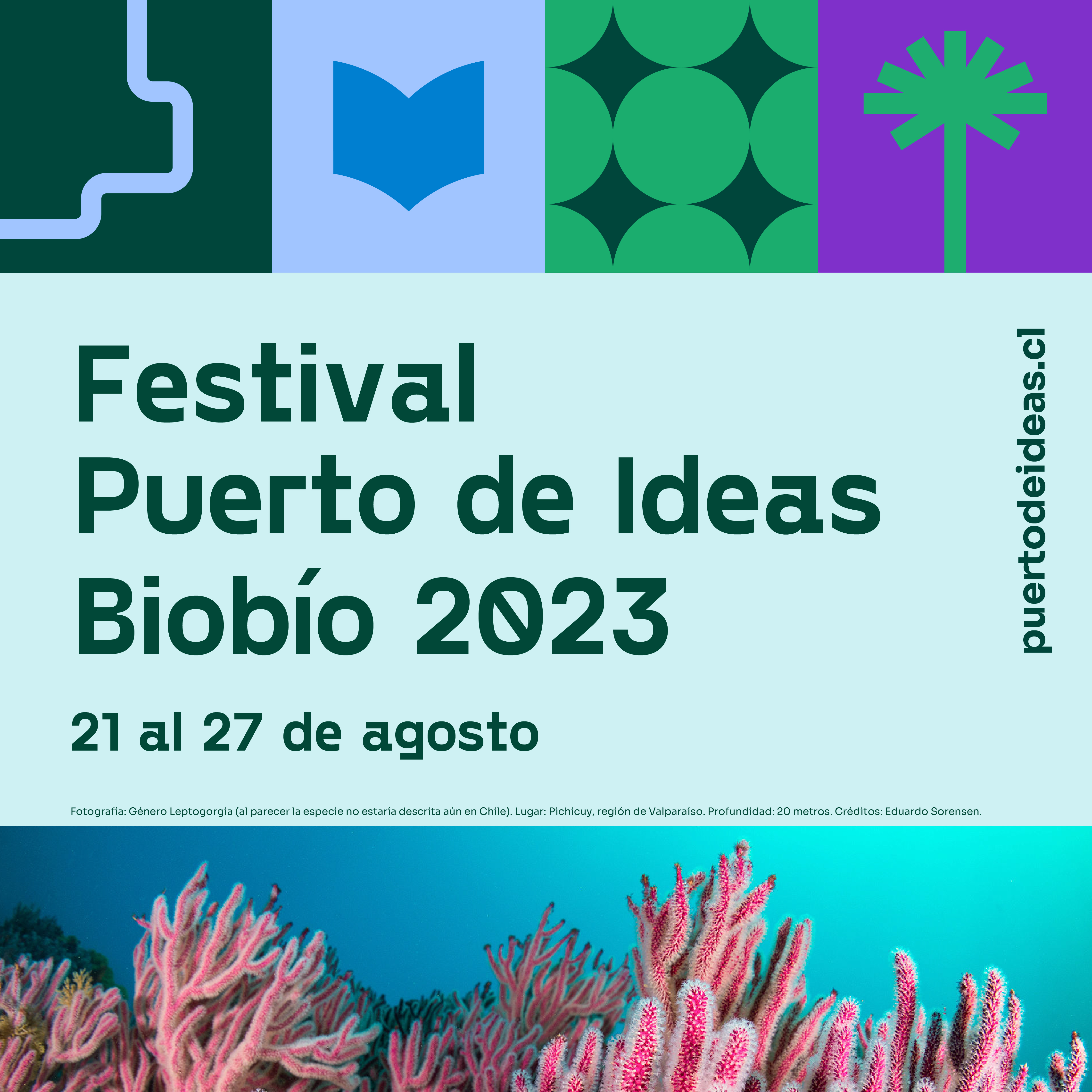 Festival Puerto de Ideas Biobío / cedida
