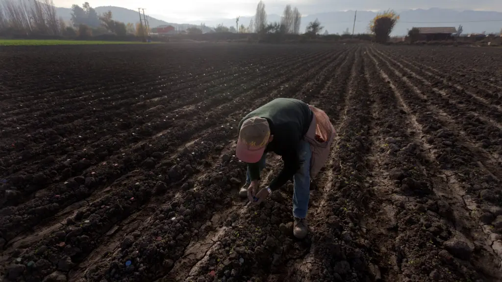 Seguros Agrícolas Biobío