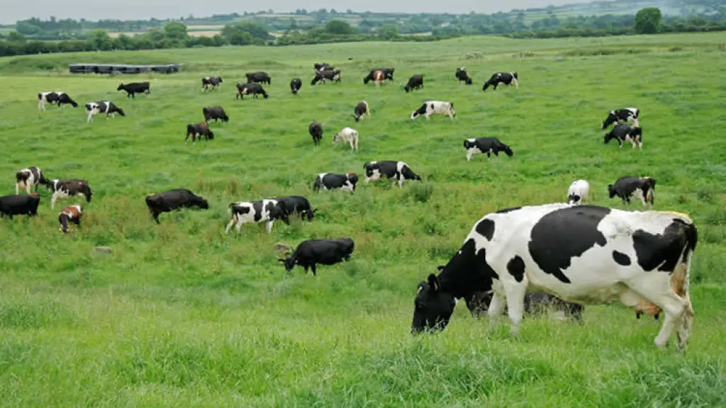 Charlas en producción de leche