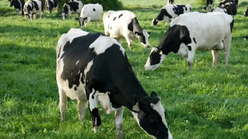 Recepción nacional de leche Chile