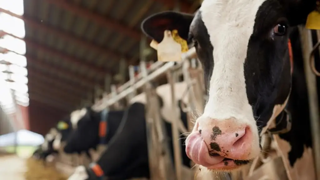Tendencias en producción de leche