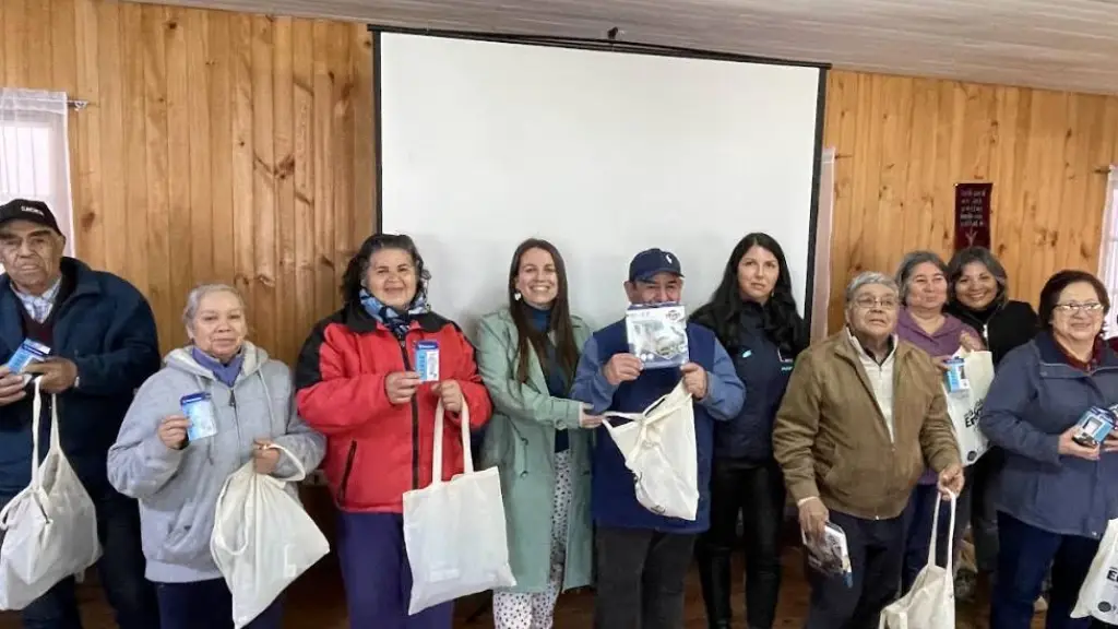 Actividad, Seremi de Energía