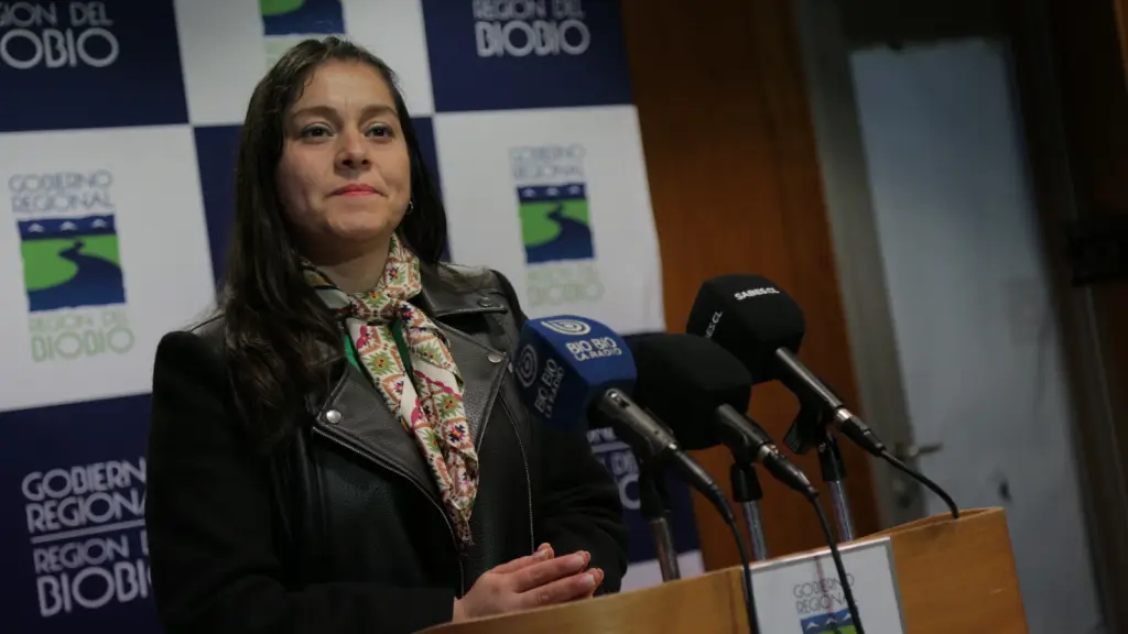 Diputada Karen Medina, La Tribuna