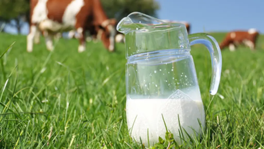 Los productores llamaron a la industria procesadora de leche a mostrar señales claras a ellos para impulsar el desarrollo de la industria y que no sea necesario cerrar.