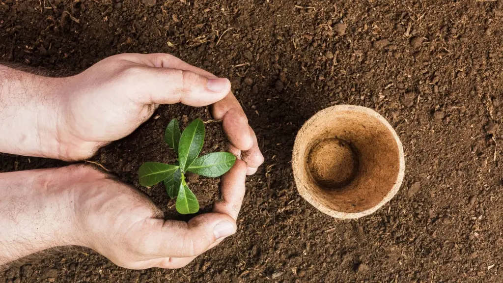 Saneamiento suelos contaminados