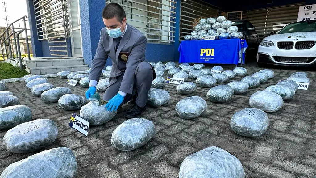 Incautación de drogas en Biobío, PDI