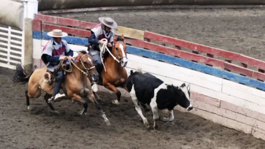 Aprobaron enmienda en el que se aprueba el rodeo como deporte nacional , La Tribuna