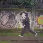 Robo en Los Ángeles, Redes sociales